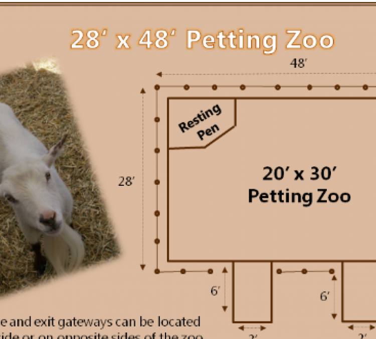 Freckle Farm Petting Zoo (Mobile Service ONLY) (Coolidge,&nbspAZ)